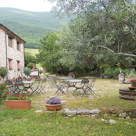 Il Giardino Degli Ulivi Villa Castelraimondo Dış mekan fotoğraf