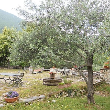 Il Giardino Degli Ulivi Villa Castelraimondo Dış mekan fotoğraf