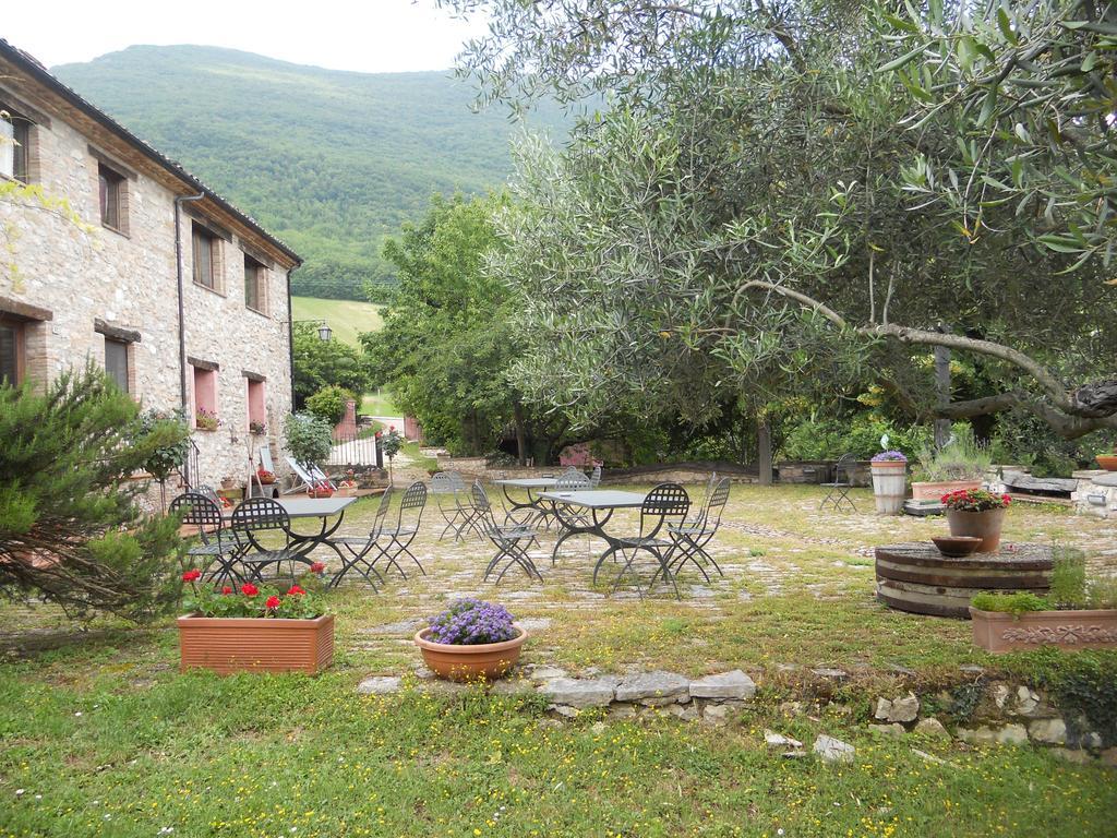 Il Giardino Degli Ulivi Villa Castelraimondo Dış mekan fotoğraf