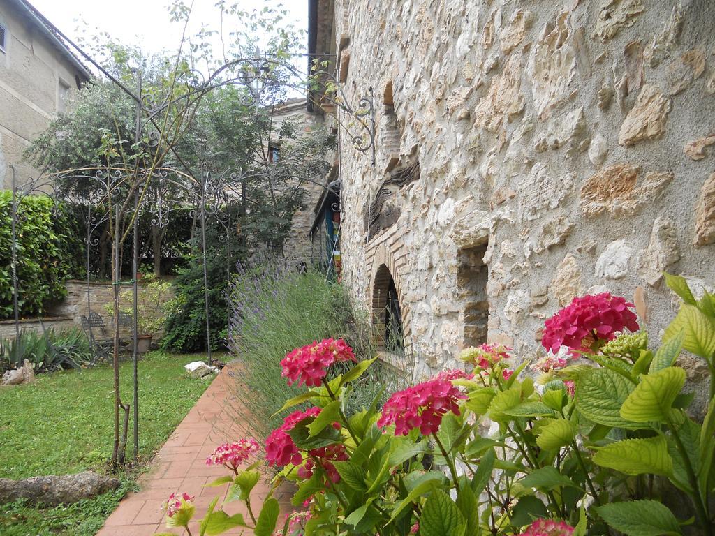 Il Giardino Degli Ulivi Villa Castelraimondo Dış mekan fotoğraf